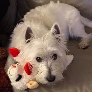 Meet your Posher, Martha